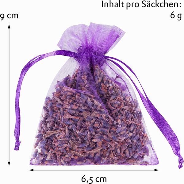 lavendel gegen kleidermotten 3