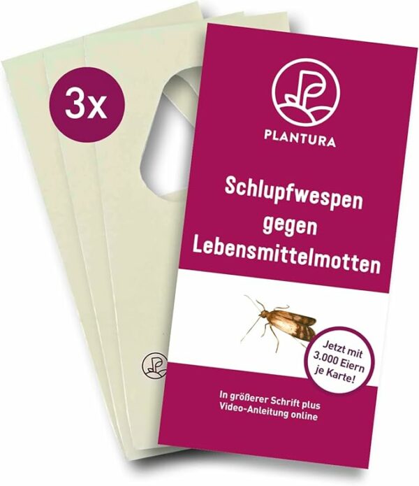 Plantura Schlupfwespen gegen Lebensmittelmotten
