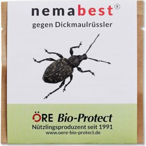 HB-Nematoden gegen Dickmaulruessler