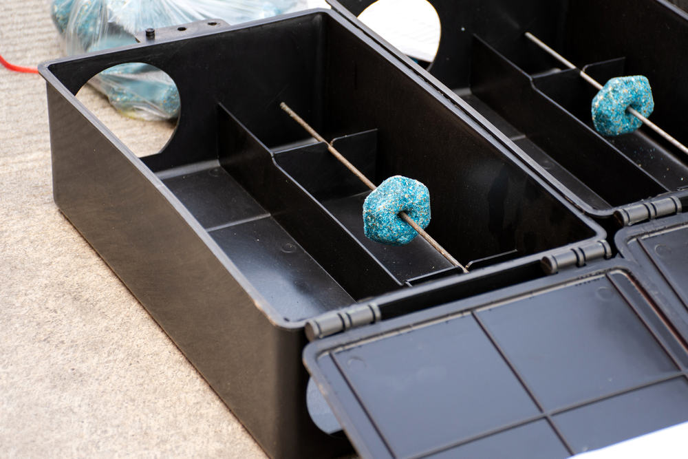 Köderbox mit Giftködern gegen Ratten