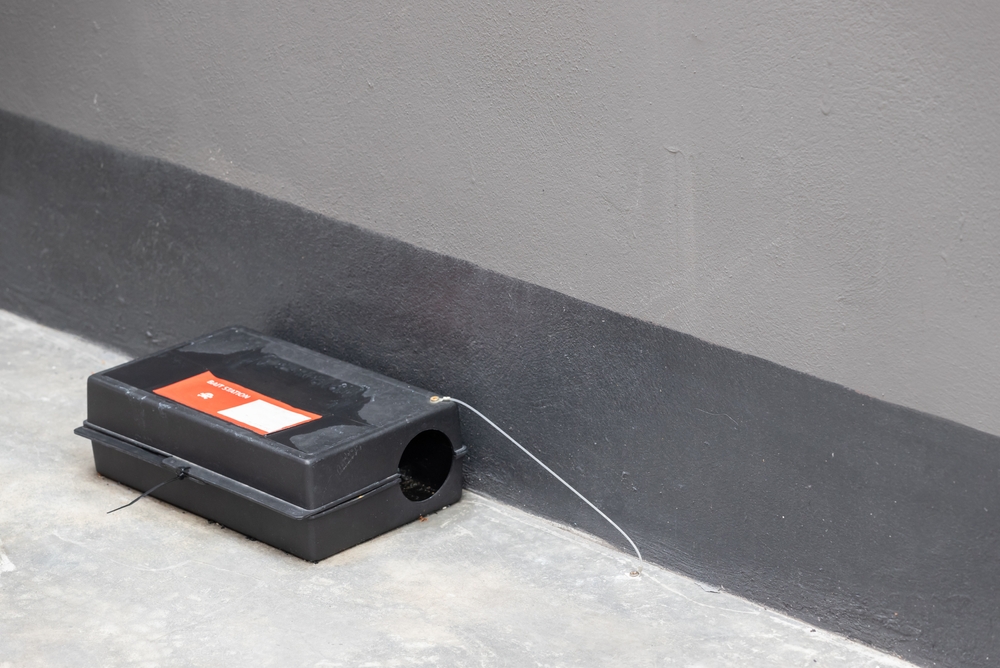 Köderbox vor einer Hauswand