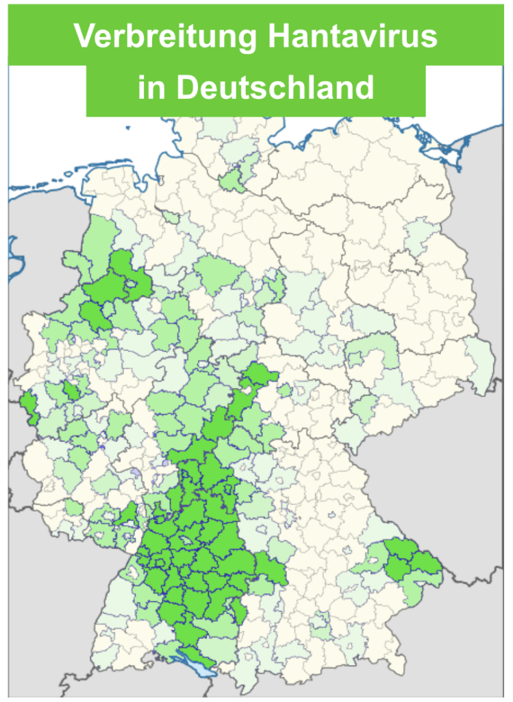 Verbreitung Hantavirus in Deutschland