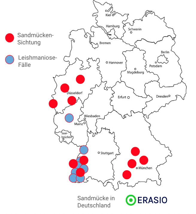 Verbreitungskarte Sandmücken in Deutschland